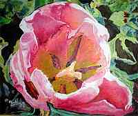 la tulipe